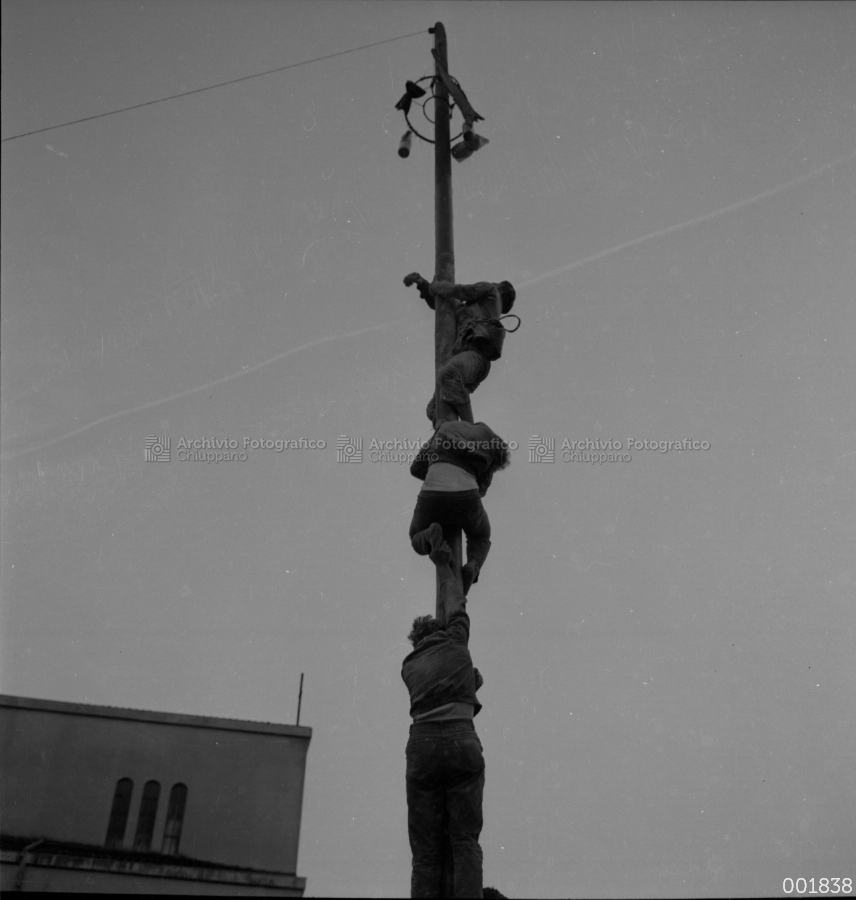 Albero della cuccagna