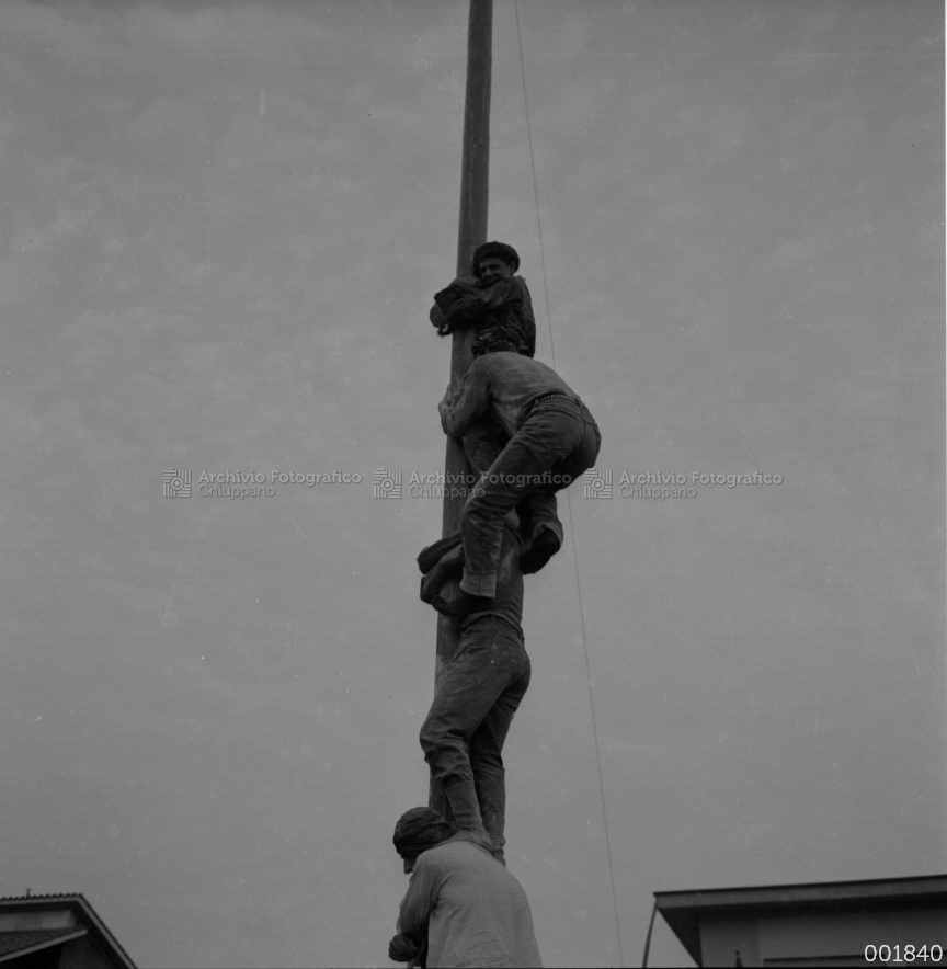 Albero della cuccagna