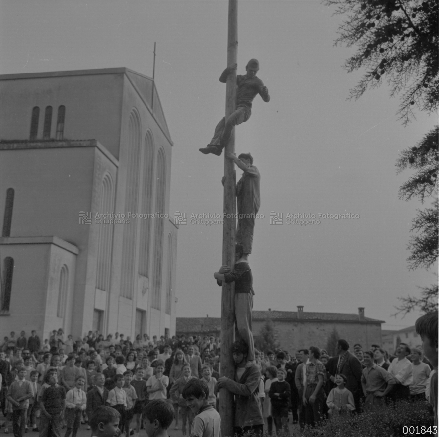 Albero della cuccagna