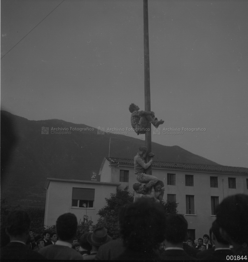 Albero della cuccagna