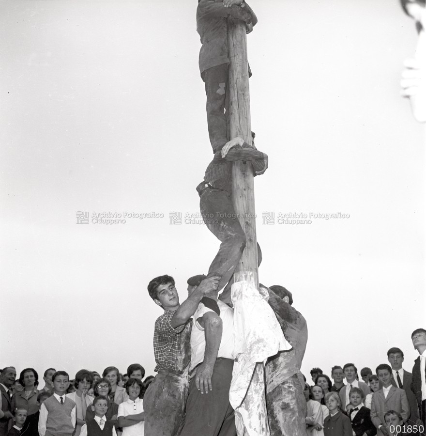 Albero della cuccagna