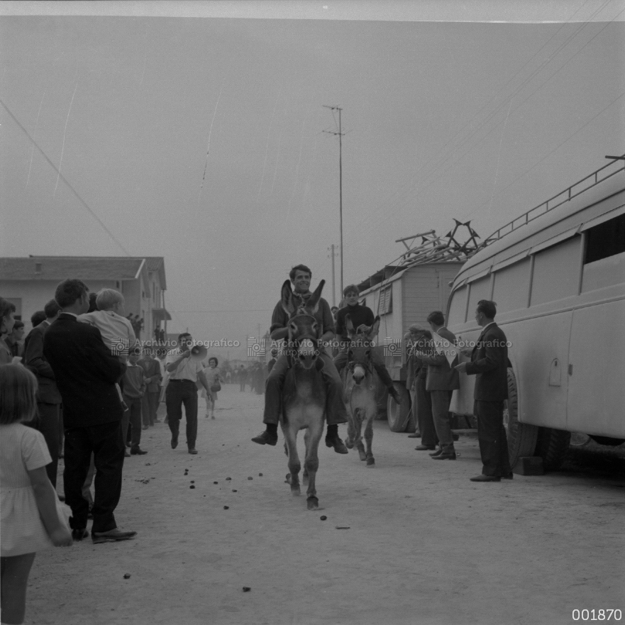 Corsa degli asini