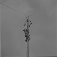 Albero della cuccagna