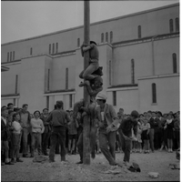 Albero della cuccagna