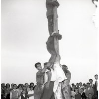 Albero della cuccagna