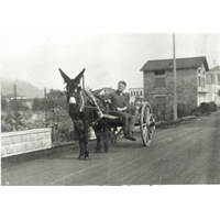 Uomo in carrozza